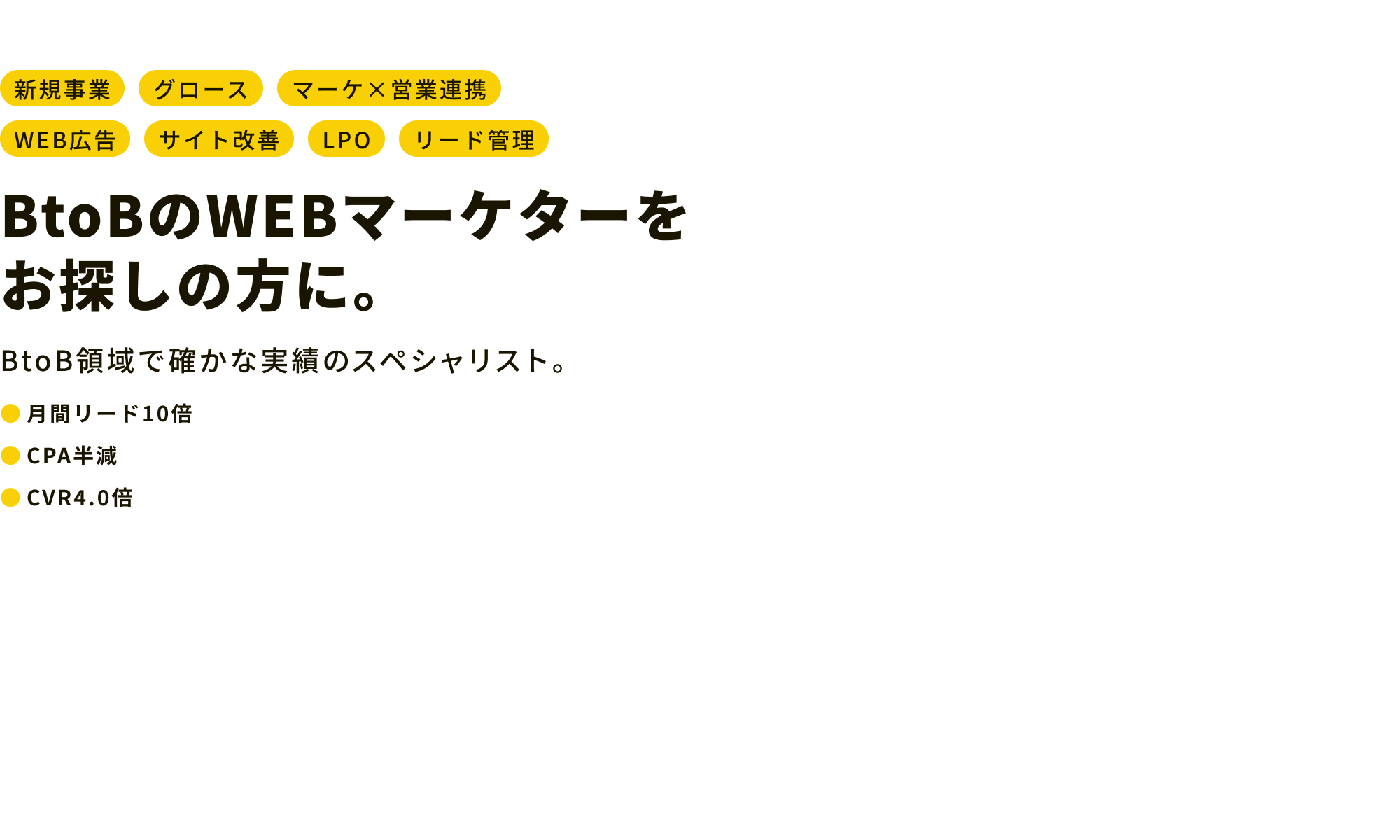 BtoBのWEBマーケターをお探しの方に。BtoB領域で確かな実績のスペシャリスト。月間リード10倍｜CPA半減｜CVR4.0倍｜新規事業｜グロース｜マーケ×営業連携｜WEB広告｜サイト改善｜LPO｜リード管理